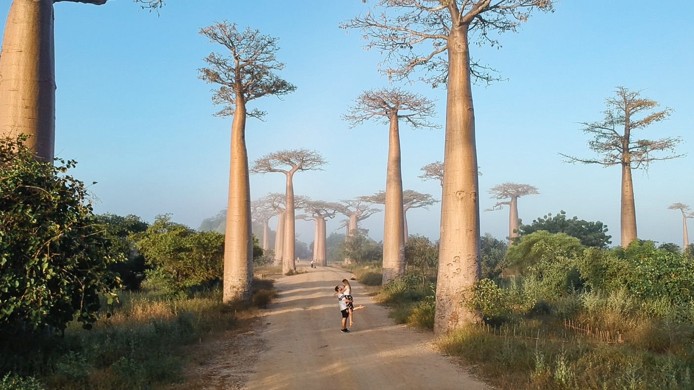 Madagascar: Guía de Viaje. - Viajeros 360 | Blog de viajes